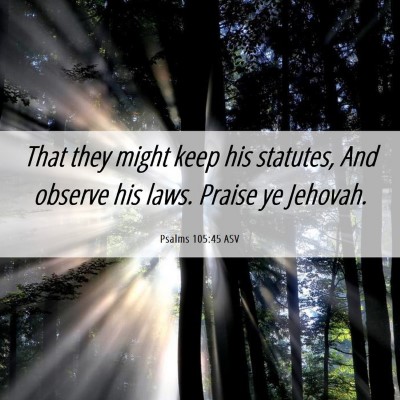 Picture 06 - Psalms 105:45 ASV - That they might keep his statutes, And observe - Bible Verse Picture