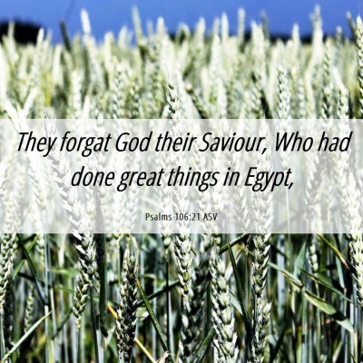 Picture 06 - Psalms 106:21 ASV - They forgat God their Saviour, Who had done great - Bible Verse Picture
