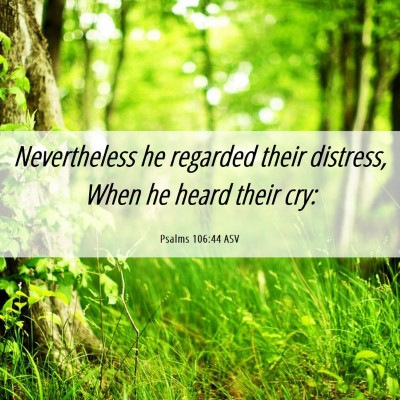 Picture 06 - Psalms 106:44 ASV - Nevertheless he regarded their distress, When he - Bible Verse Picture