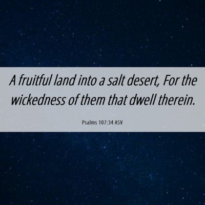 Picture 06 - Psalms 107:34 ASV - A fruitful land into a salt desert, For the - Bible Verse Picture