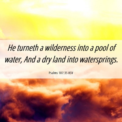 Picture 06 - Psalms 107:35 ASV - He turneth a wilderness into a pool of water, And - Bible Verse Picture