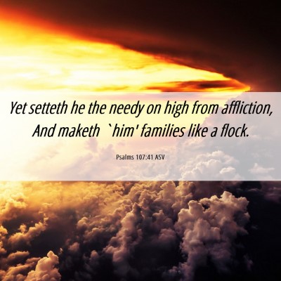 Picture 06 - Psalms 107:41 ASV - Yet setteth he the needy on high from affliction, - Bible Verse Picture
