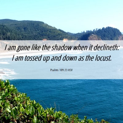 Picture 06 - Psalms 109:23 ASV - I am gone like the shadow when it declineth: I am - Bible Verse Picture