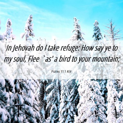 Picture 06 - Psalms 11:1 ASV - In Jehovah do I take refuge: How say ye to my - Bible Verse Picture
