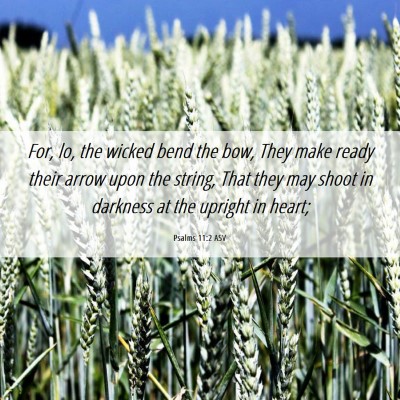 Picture 06 - Psalms 11:2 ASV - For, lo, the wicked bend the bow, They make ready - Bible Verse Picture