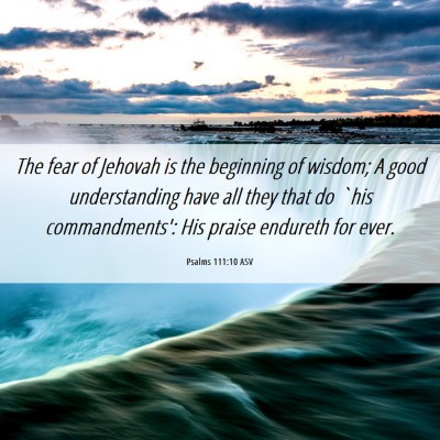 Picture 06 - Psalms 111:10 ASV - The fear of Jehovah is the beginning of wisdom; A - Bible Verse Picture