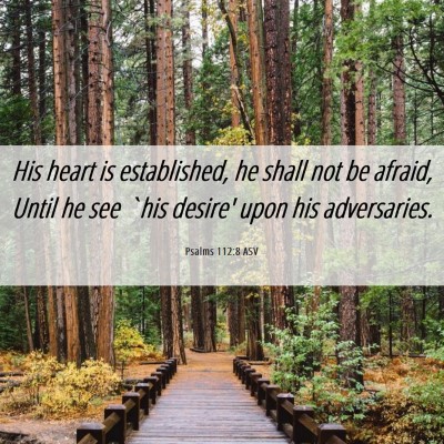 Picture 06 - Psalms 112:8 ASV - His heart is established, he shall not be afraid, - Bible Verse Picture