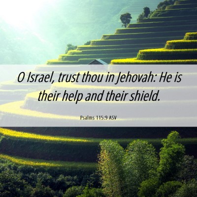 Picture 06 - Psalms 115:9 ASV - O Israel, trust thou in Jehovah: He is their help - Bible Verse Picture