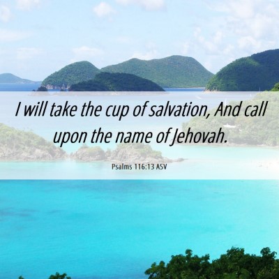 Picture 06 - Psalms 116:13 ASV - I will take the cup of salvation, And call upon - Bible Verse Picture