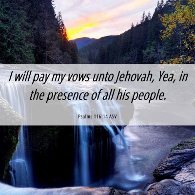 Picture 06 - Psalms 116:14 ASV - I will pay my vows unto Jehovah, Yea, in the - Bible Verse Picture