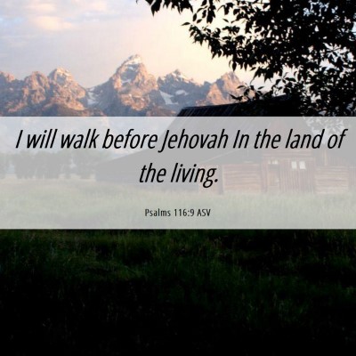 Picture 06 - Psalms 116:9 ASV - I will walk before Jehovah In the land of the - Bible Verse Picture