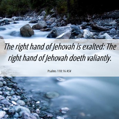 Picture 06 - Psalms 118:16 ASV - The right hand of Jehovah is exalted: The right - Bible Verse Picture