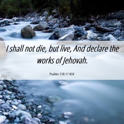 Picture 06 - Psalms 118:17 ASV - I shall not die, but live, And declare the works - Bible Verse Picture