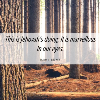Picture 06 - Psalms 118:23 ASV - This is Jehovah's doing; It is marvellous in our - Bible Verse Picture