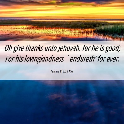 Picture 06 - Psalms 118:29 ASV - Oh give thanks unto Jehovah; for he is good; For - Bible Verse Picture