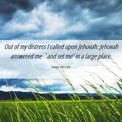 Picture 06 - Psalms 118:5 ASV - Out of my distress I called upon Jehovah: Jehovah - Bible Verse Picture
