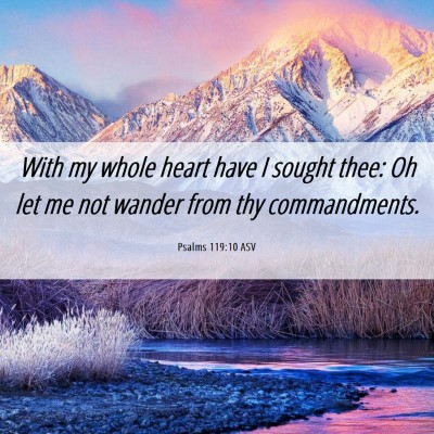 Picture 06 - Psalms 119:10 ASV - With my whole heart have I sought thee: Oh let me - Bible Verse Picture