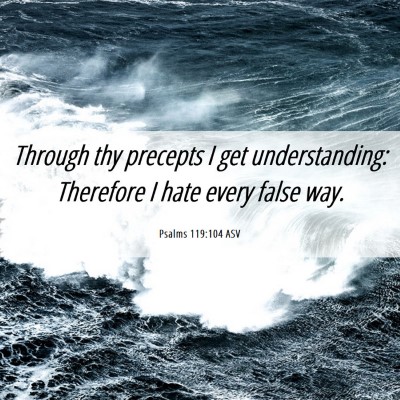 Picture 06 - Psalms 119:104 ASV - Through thy precepts I get understanding: - Bible Verse Picture