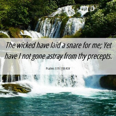 Picture 06 - Psalms 119:110 ASV - The wicked have laid a snare for me; Yet have I - Bible Verse Picture