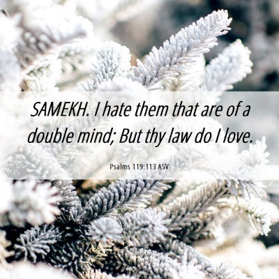 Picture 06 - Psalms 119:113 ASV - SAMEKH. I hate them that are of a double mind; - Bible Verse Picture