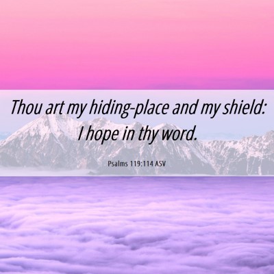 Picture 06 - Psalms 119:114 ASV - Thou art my hiding-place and my shield: I hope in - Bible Verse Picture