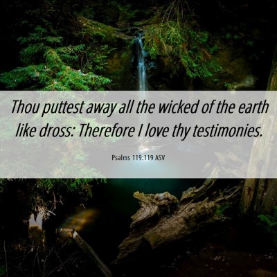Picture 06 - Psalms 119:119 ASV - Thou puttest away all the wicked of the earth - Bible Verse Picture