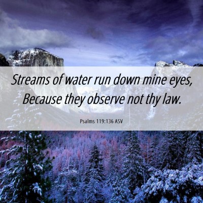 Picture 06 - Psalms 119:136 ASV - Streams of water run down mine eyes, Because they - Bible Verse Picture