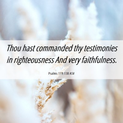 Picture 06 - Psalms 119:138 ASV - Thou hast commanded thy testimonies in - Bible Verse Picture