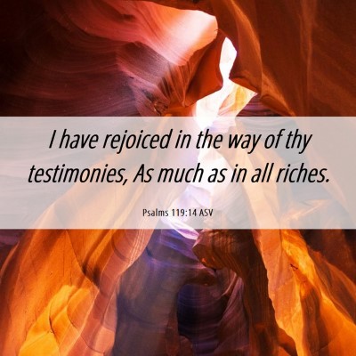 Picture 06 - Psalms 119:14 ASV - I have rejoiced in the way of thy testimonies, As - Bible Verse Picture