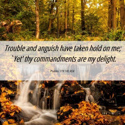 Picture 06 - Psalms 119:143 ASV - Trouble and anguish have taken hold on me; `Yet' - Bible Verse Picture