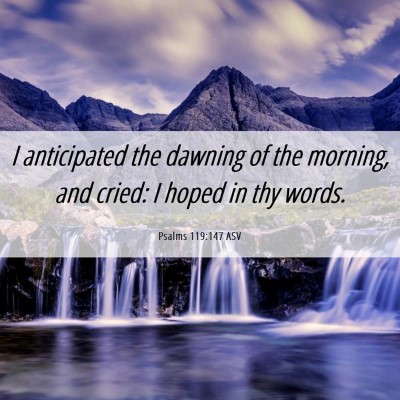 Picture 06 - Psalms 119:147 ASV - I anticipated the dawning of the morning, and - Bible Verse Picture
