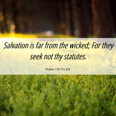 Picture 06 - Psalms 119:155 ASV - Salvation is far from the wicked; For they seek - Bible Verse Picture