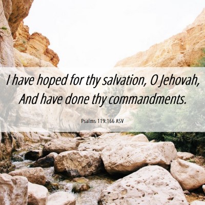 Picture 06 - Psalms 119:166 ASV - I have hoped for thy salvation, O Jehovah, And - Bible Verse Picture