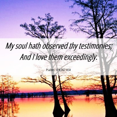 Picture 06 - Psalms 119:167 ASV - My soul hath observed thy testimonies; And I love - Bible Verse Picture