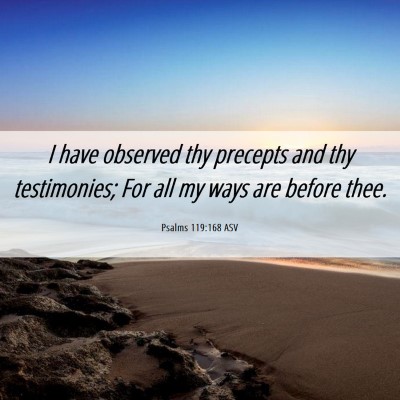 Picture 06 - Psalms 119:168 ASV - I have observed thy precepts and thy testimonies; - Bible Verse Picture