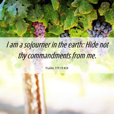Picture 06 - Psalms 119:19 ASV - I am a sojourner in the earth: Hide not thy - Bible Verse Picture