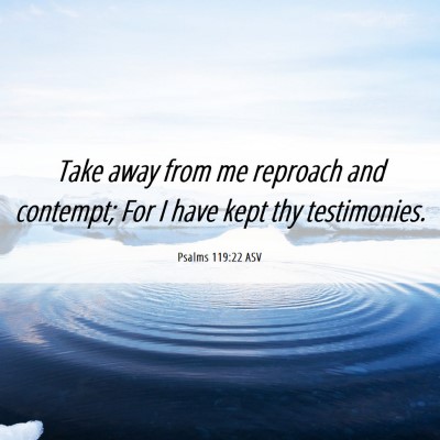 Picture 06 - Psalms 119:22 ASV - Take away from me reproach and contempt; For I - Bible Verse Picture