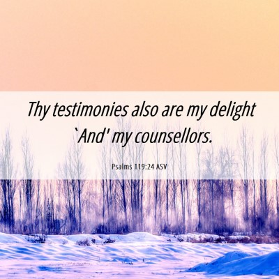 Picture 06 - Psalms 119:24 ASV - Thy testimonies also are my delight `And' my - Bible Verse Picture