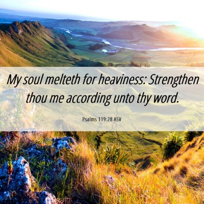 Picture 06 - Psalms 119:28 ASV - My soul melteth for heaviness: Strengthen thou me - Bible Verse Picture