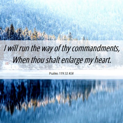 Picture 06 - Psalms 119:32 ASV - I will run the way of thy commandments, When thou - Bible Verse Picture
