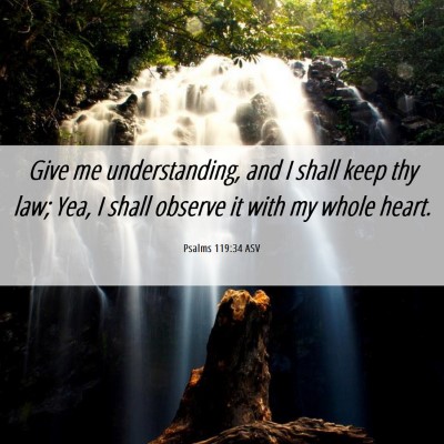 Picture 06 - Psalms 119:34 ASV - Give me understanding, and I shall keep thy law; - Bible Verse Picture
