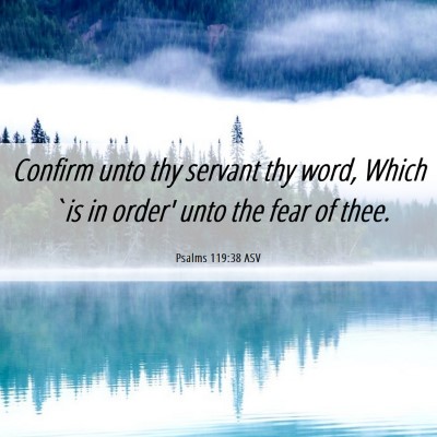 Picture 06 - Psalms 119:38 ASV - Confirm unto thy servant thy word, Which `is in - Bible Verse Picture
