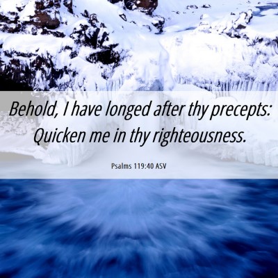 Picture 06 - Psalms 119:40 ASV - Behold, I have longed after thy precepts: Quicken - Bible Verse Picture