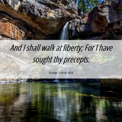 Picture 06 - Psalms 119:45 ASV - And I shall walk at liberty; For I have sought - Bible Verse Picture
