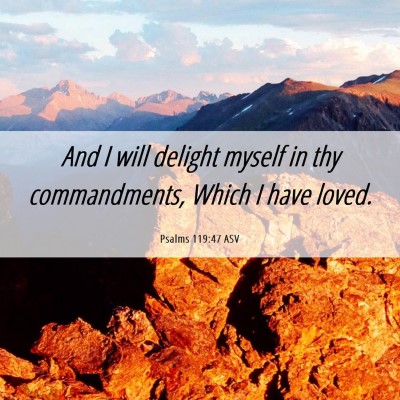 Picture 06 - Psalms 119:47 ASV - And I will delight myself in thy commandments, - Bible Verse Picture