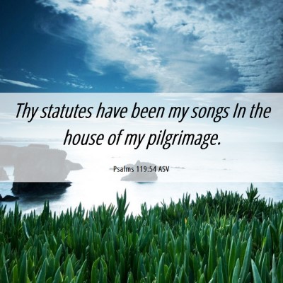 Picture 06 - Psalms 119:54 ASV - Thy statutes have been my songs In the house of - Bible Verse Picture