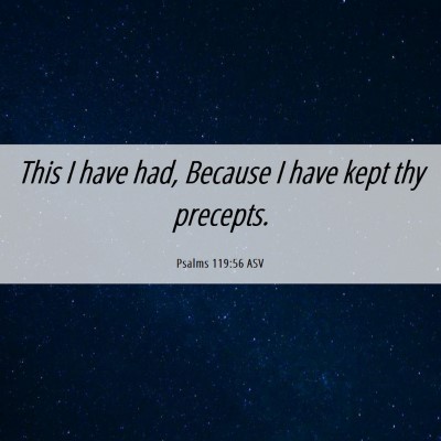 Picture 06 - Psalms 119:56 ASV - This I have had, Because I have kept thy - Bible Verse Picture