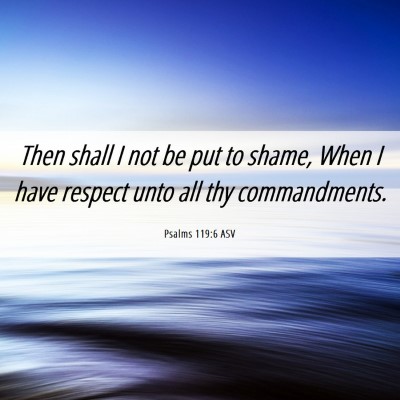 Picture 06 - Psalms 119:6 ASV - Then shall I not be put to shame, When I have - Bible Verse Picture