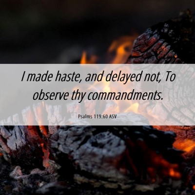 Picture 06 - Psalms 119:60 ASV - I made haste, and delayed not, To observe thy - Bible Verse Picture