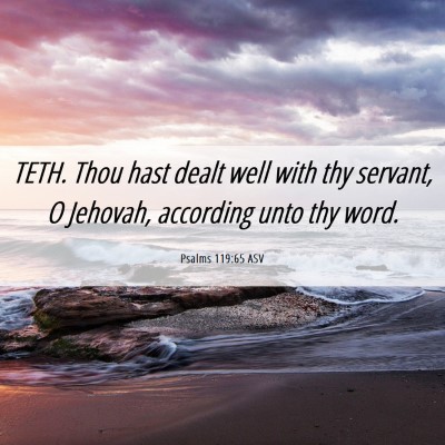 Picture 06 - Psalms 119:65 ASV - TETH. Thou hast dealt well with thy servant, O - Bible Verse Picture
